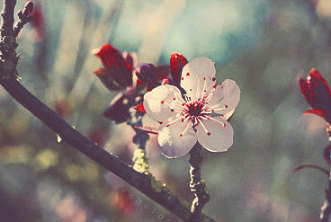 开启智能新篇的网站流量攻击