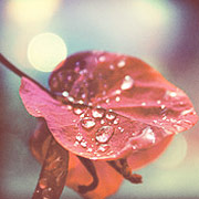 【新手入门版】零基础的在线DDOS平台攻击